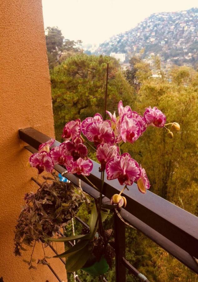 Courtyards Peak-Corner Pinestay - At Goshenland Baguio Baguio City Exteriér fotografie